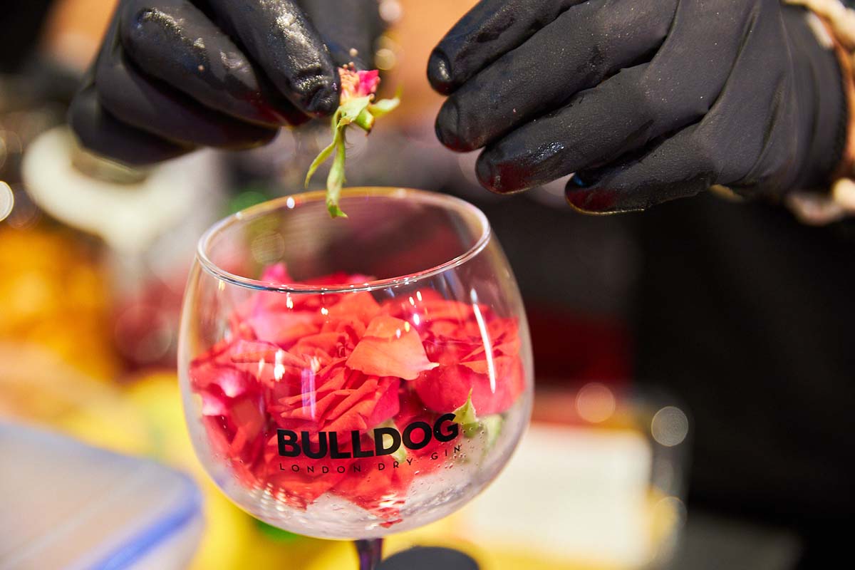 GIN FEST Bratislava 2019 — z archívu podujatia