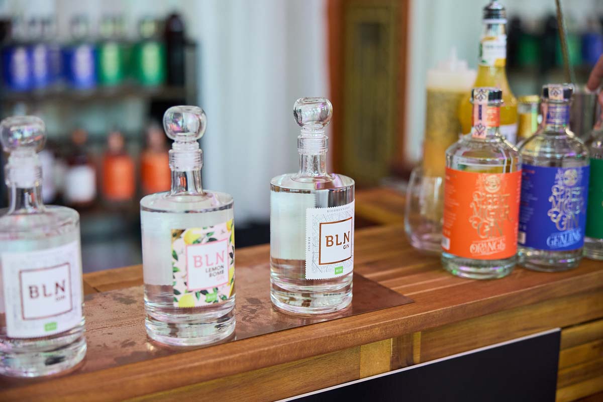 GIN FEST Bratislava 2024 — z archívu podujatia