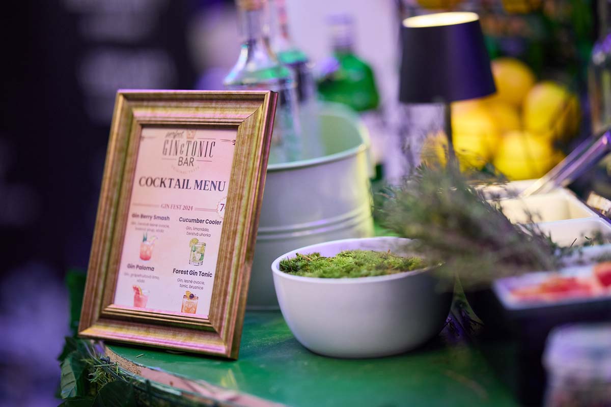GIN FEST Bratislava 2024 — z archívu podujatia