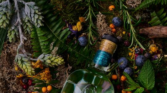 BOREC Gin: Trojitá dávka slovenskej elegancie